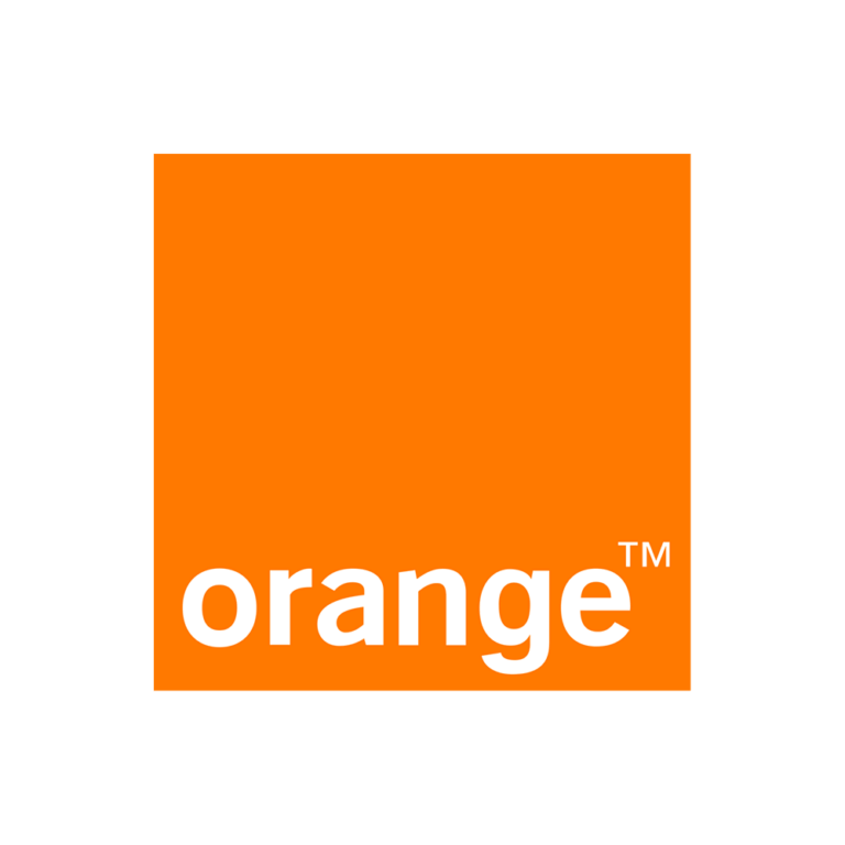 logo orange couleur pour movinon